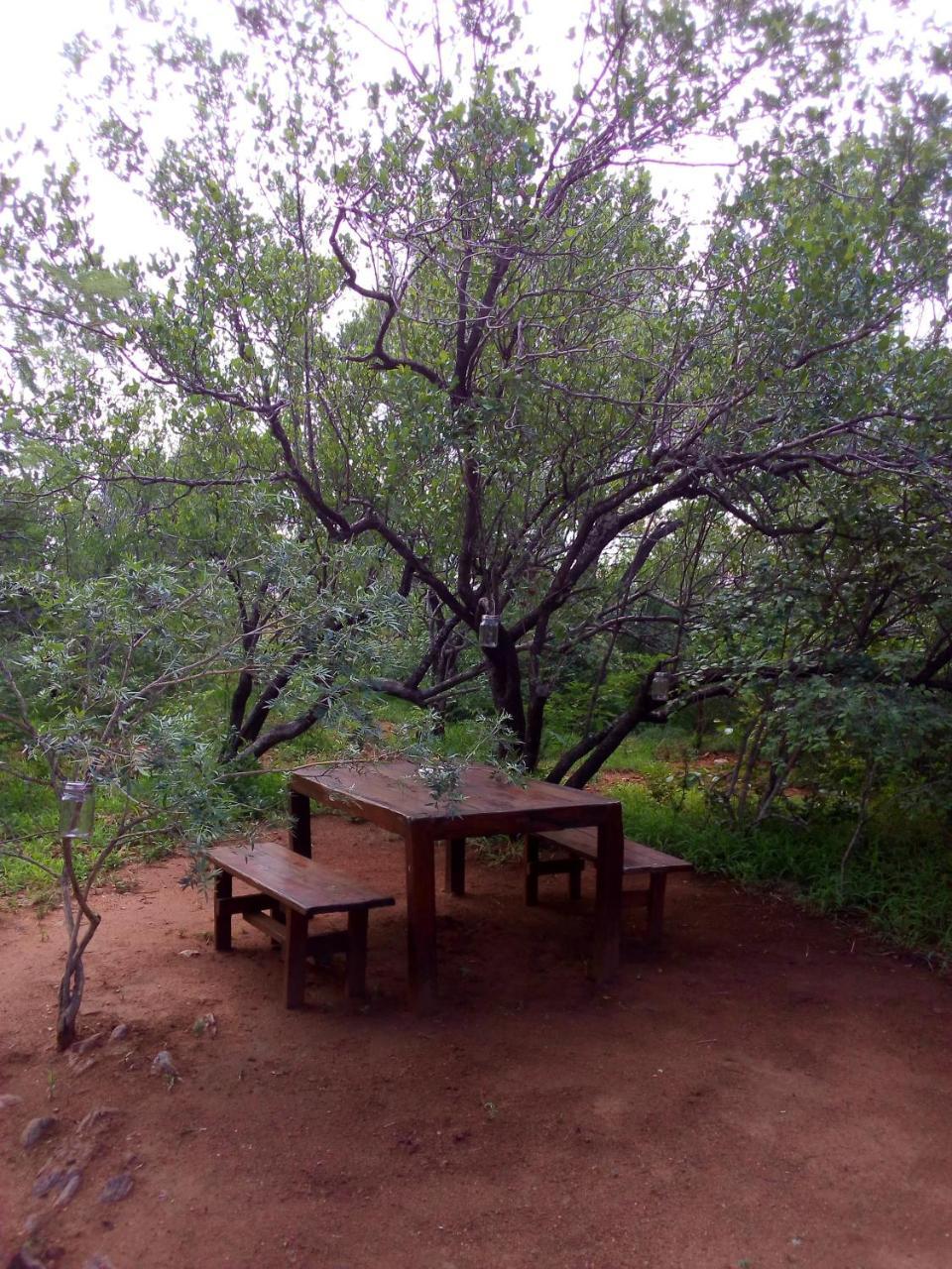 Ujabule Lodge Hoedspruit Bagian luar foto